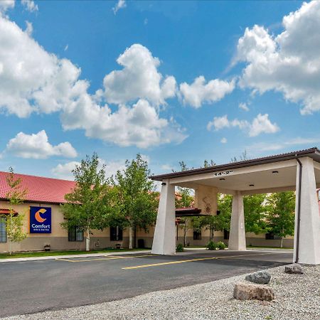 Comfort Inn & Suites אלאמוסה מראה חיצוני תמונה