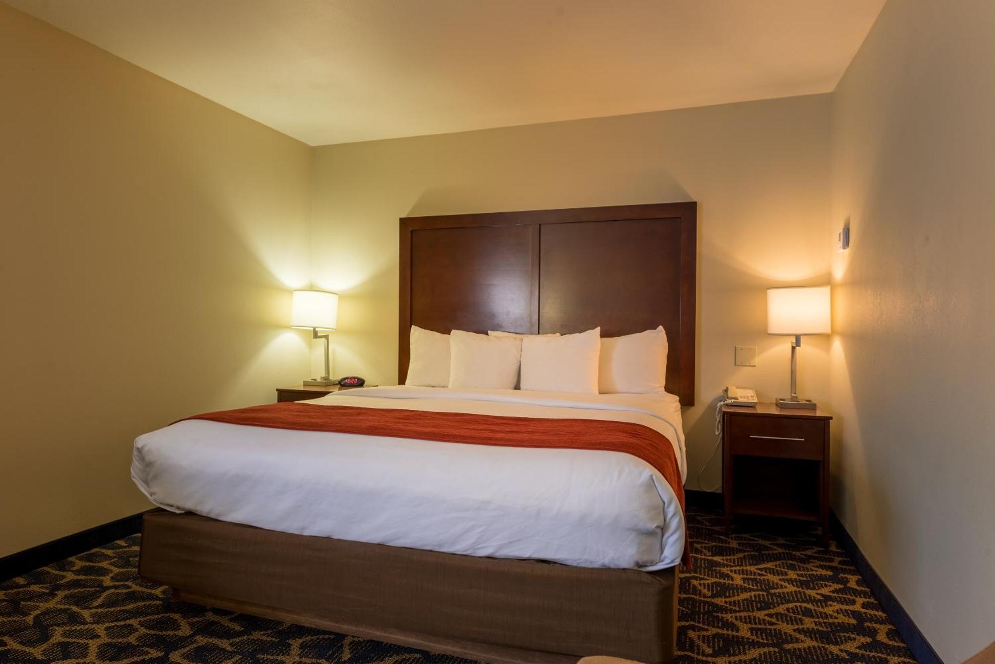 Comfort Inn & Suites אלאמוסה מראה חיצוני תמונה