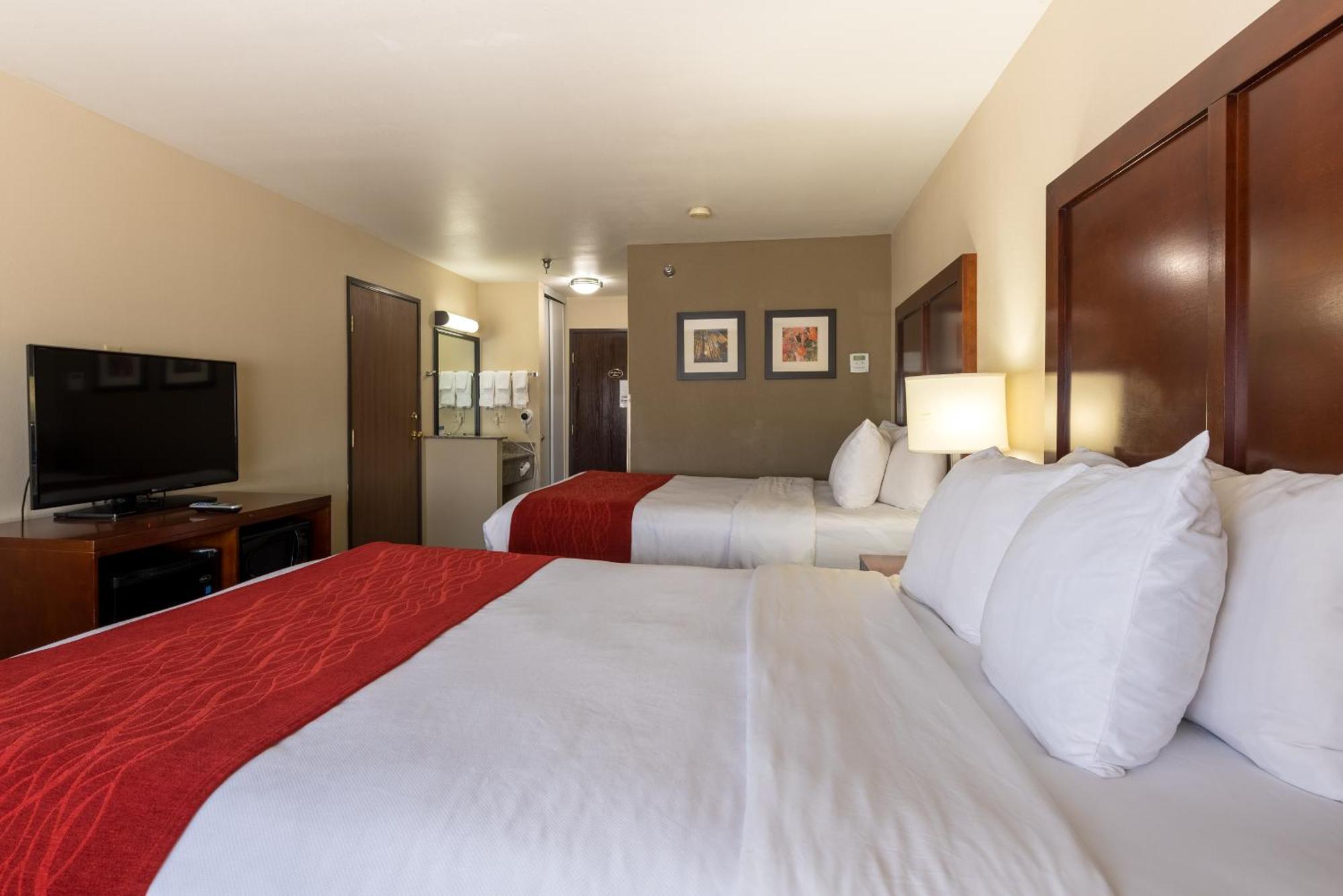 Comfort Inn & Suites אלאמוסה מראה חיצוני תמונה
