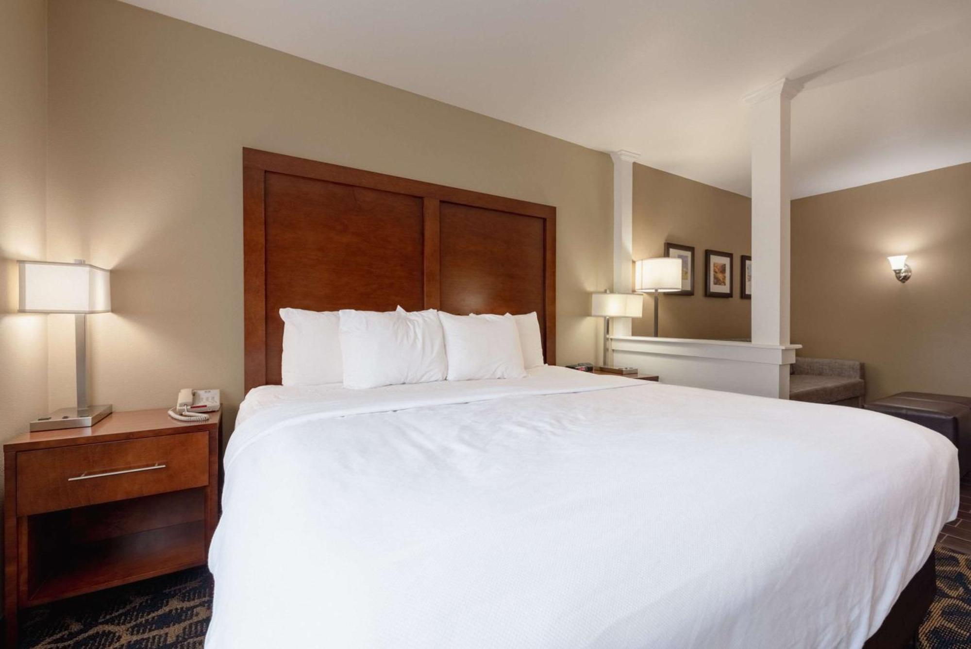 Comfort Inn & Suites אלאמוסה מראה חיצוני תמונה