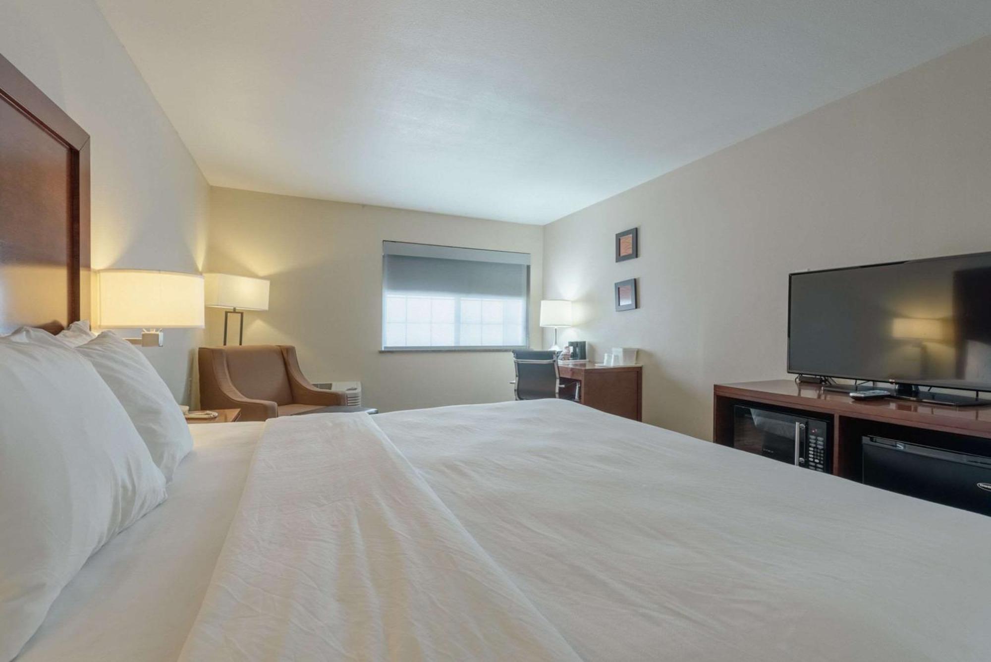 Comfort Inn & Suites אלאמוסה מראה חיצוני תמונה