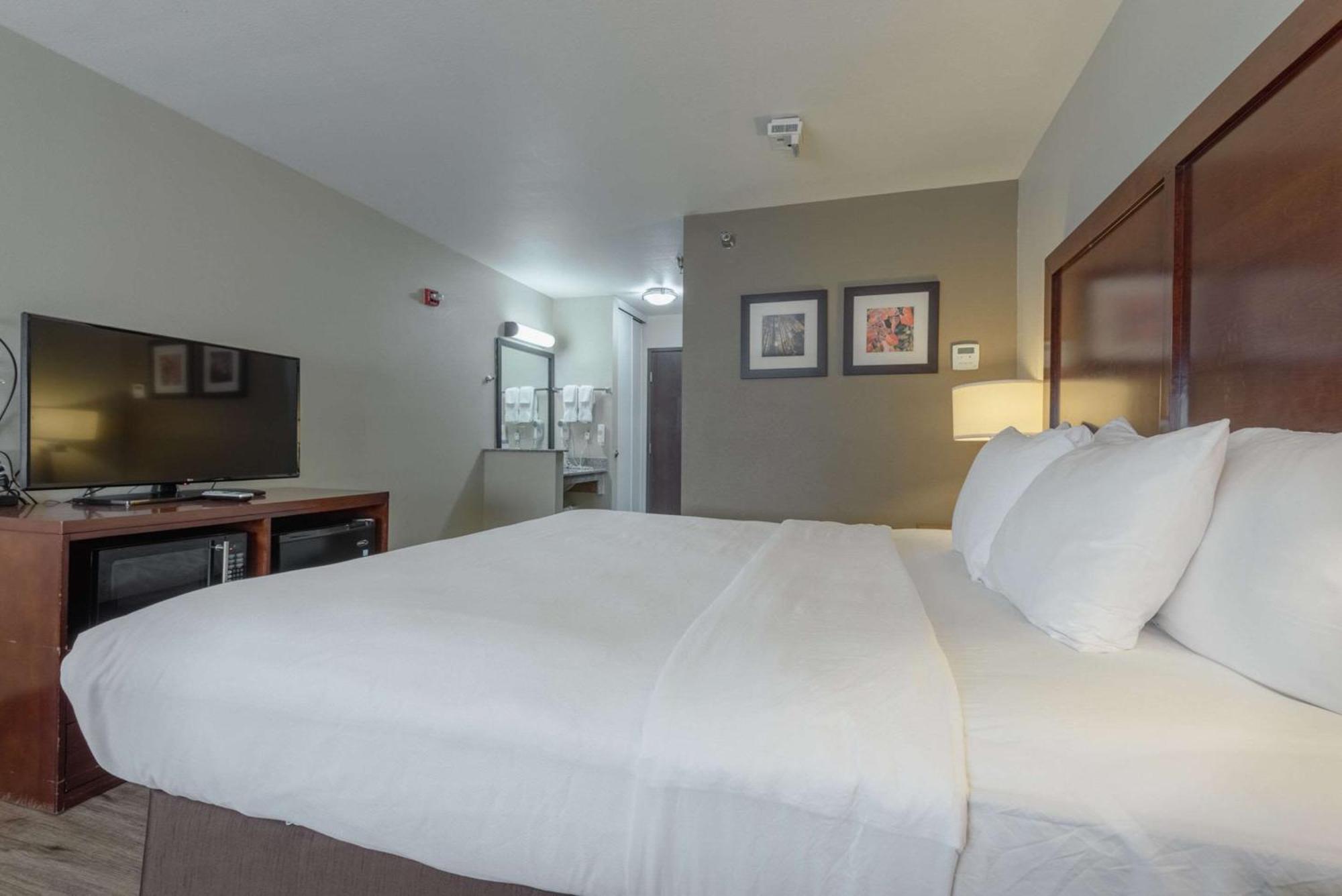 Comfort Inn & Suites אלאמוסה מראה חיצוני תמונה