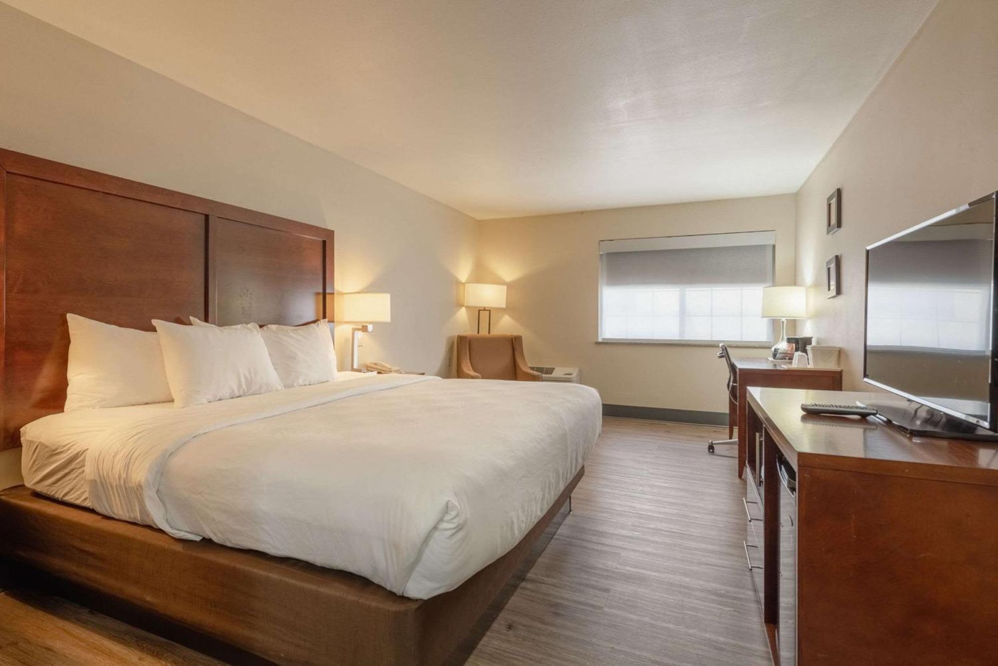 Comfort Inn & Suites אלאמוסה מראה חיצוני תמונה