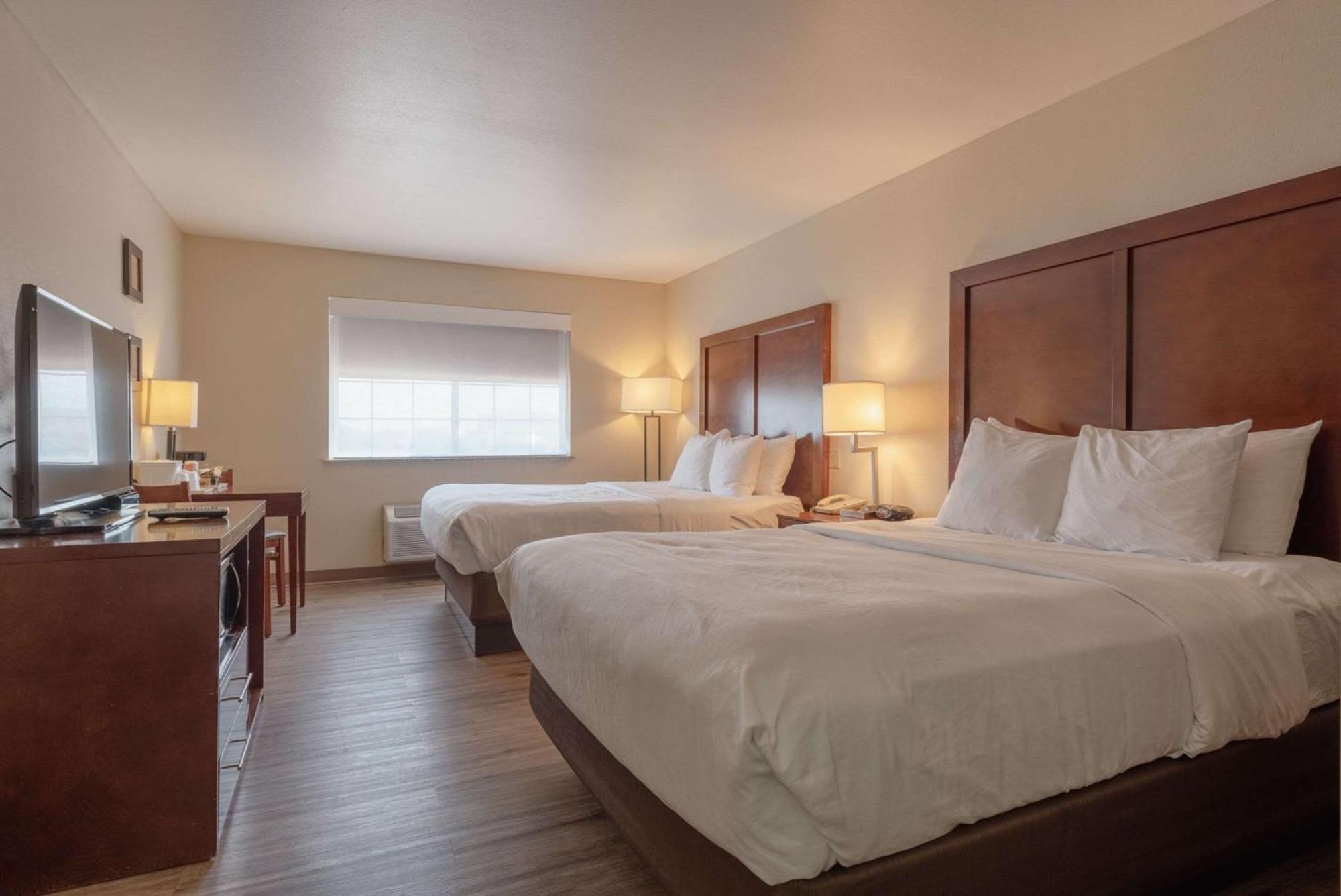 Comfort Inn & Suites אלאמוסה מראה חיצוני תמונה