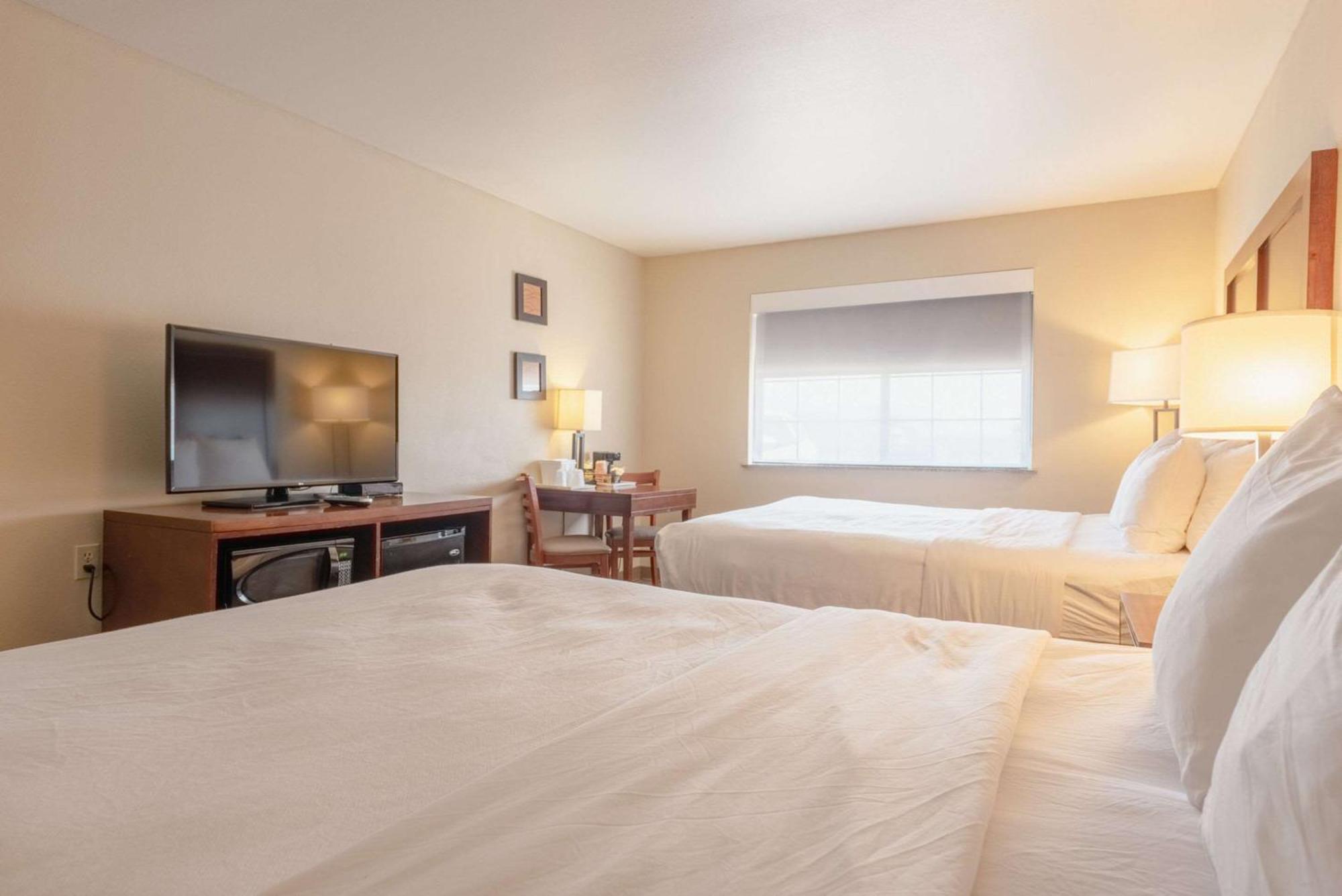 Comfort Inn & Suites אלאמוסה מראה חיצוני תמונה