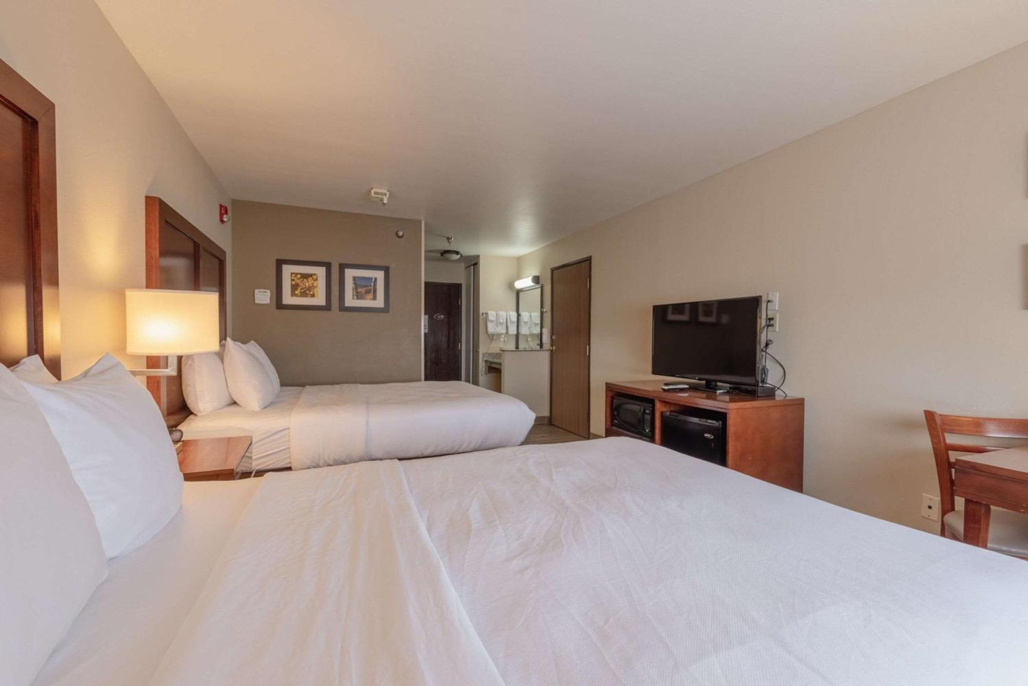 Comfort Inn & Suites אלאמוסה מראה חיצוני תמונה
