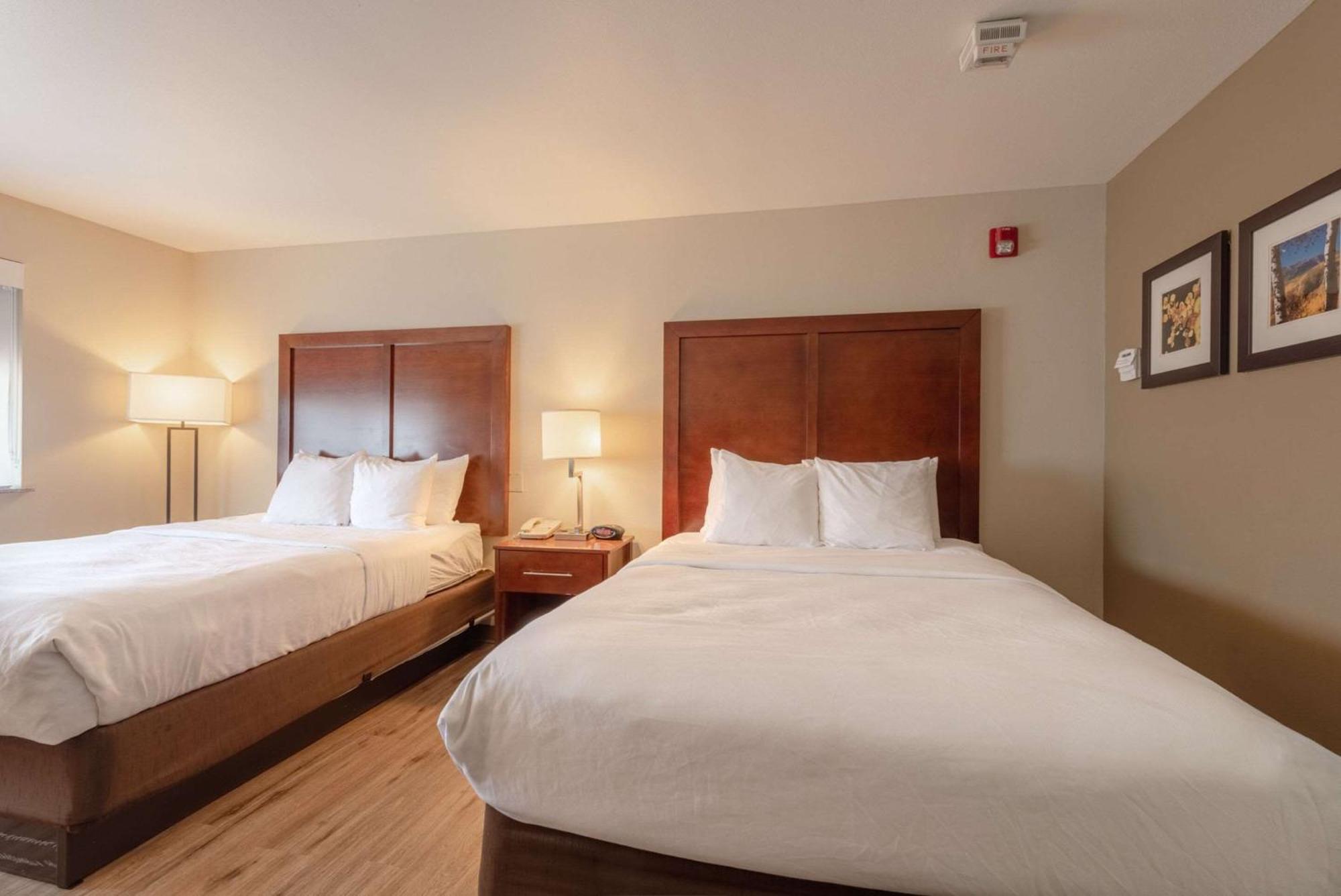Comfort Inn & Suites אלאמוסה מראה חיצוני תמונה