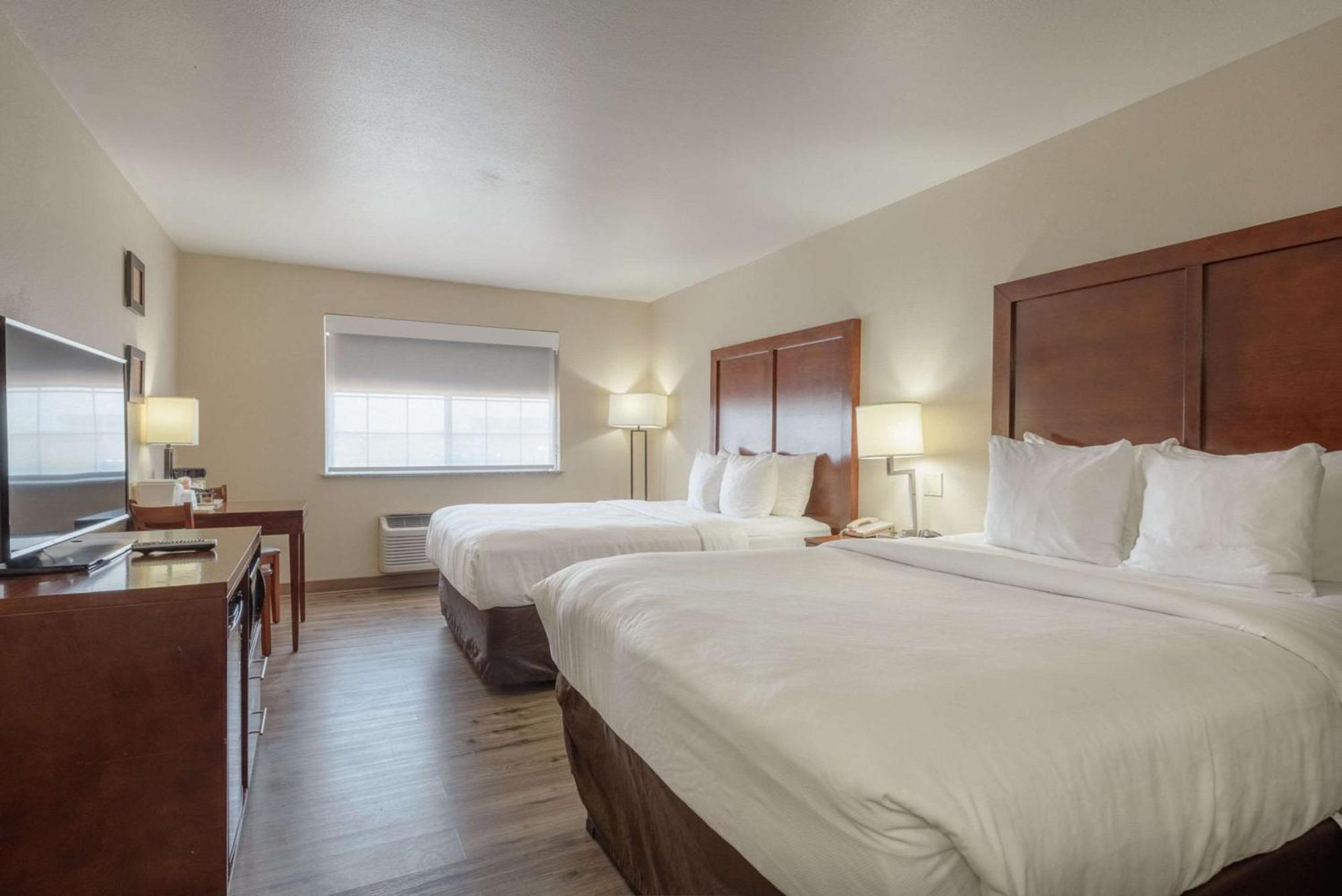 Comfort Inn & Suites אלאמוסה מראה חיצוני תמונה