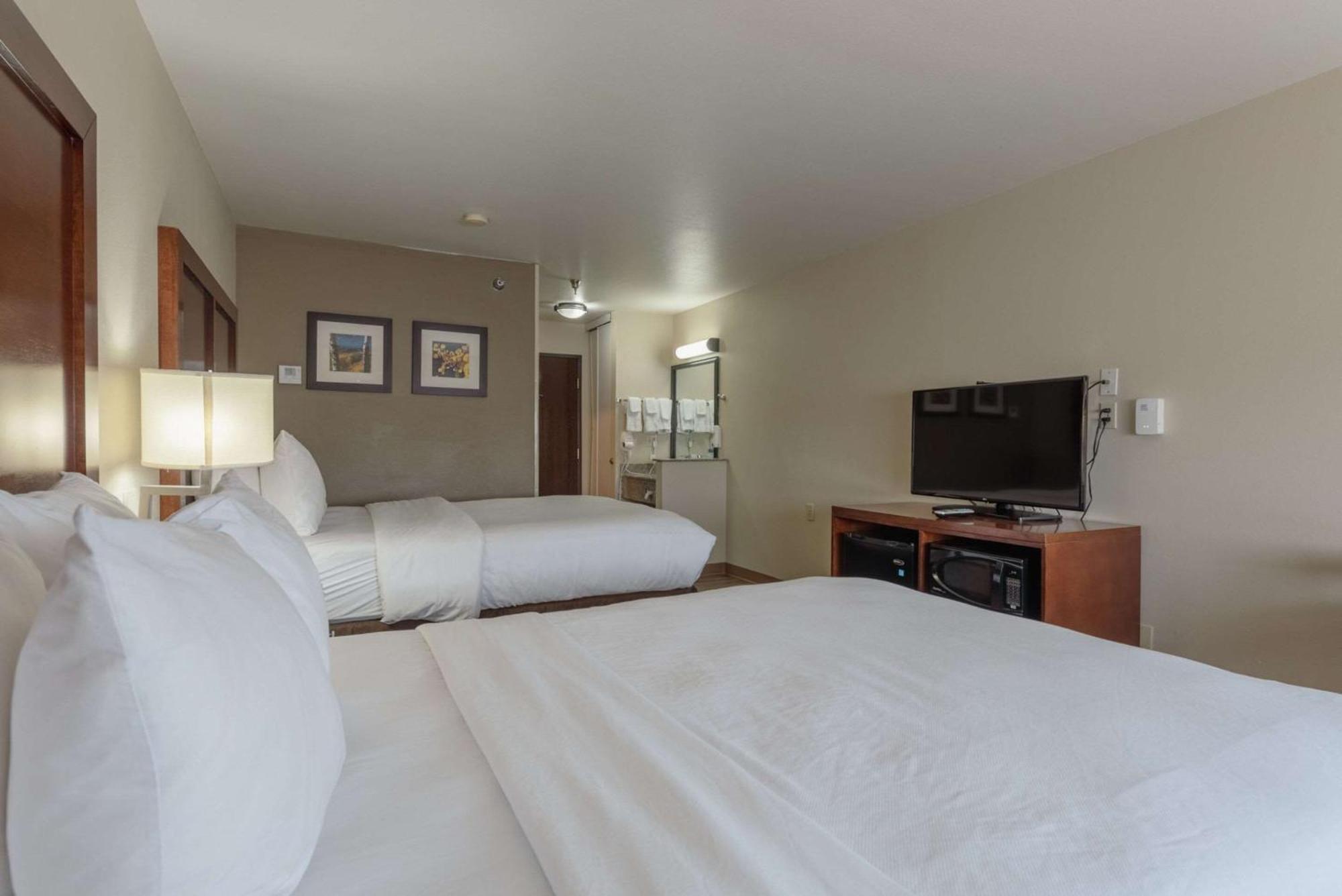 Comfort Inn & Suites אלאמוסה מראה חיצוני תמונה
